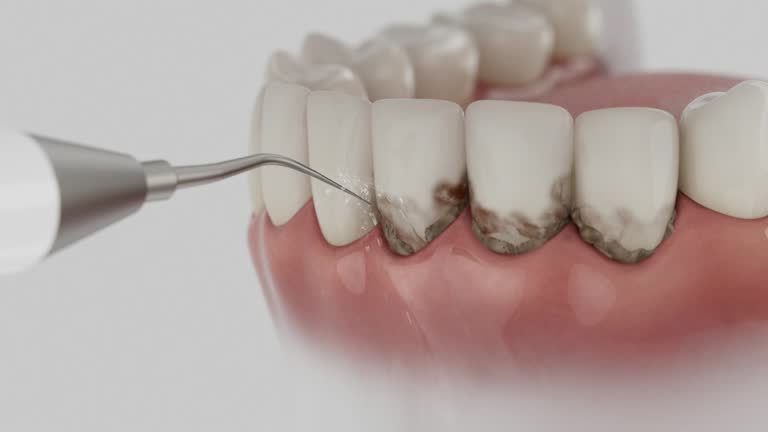 Reliable Dental contractor in Jarrell, TX by Dentist Open Now